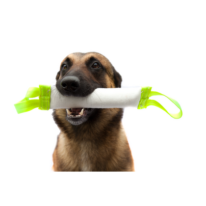 Pet Products