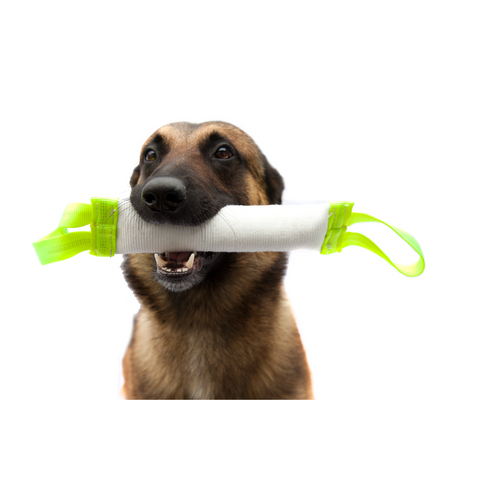Pet Products