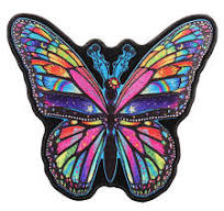 Rainbow Butterfly -6" X 8"