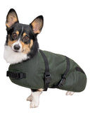 Outback CLANCY OILSKIN Canine Jacket