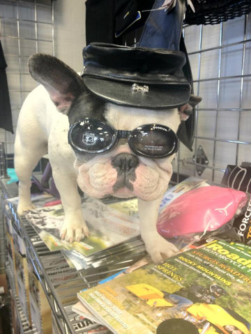 doggles dog goggles Doggles Dog Goggles – Alaska Leather