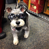 Doggles Dog Goggles