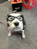 Doggles Dog Goggles