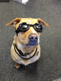 Doggles Dog Goggles